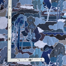 Load image into Gallery viewer, Liberty Tana Lawn - Prospect Road C