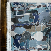 Load image into Gallery viewer, Liberty Tana Lawn - Prospect Road C
